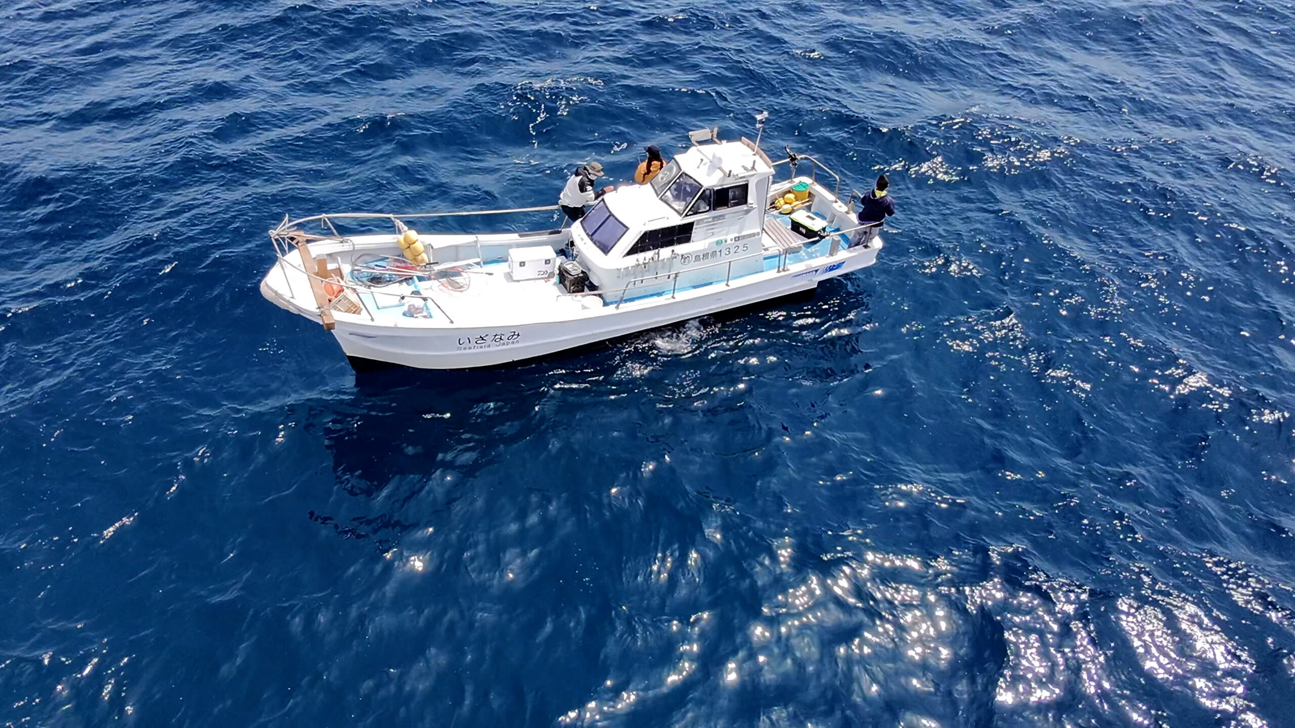 izanamiのアバター